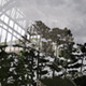 reflections (greenhouse) Albert Kahn 02 , Paris